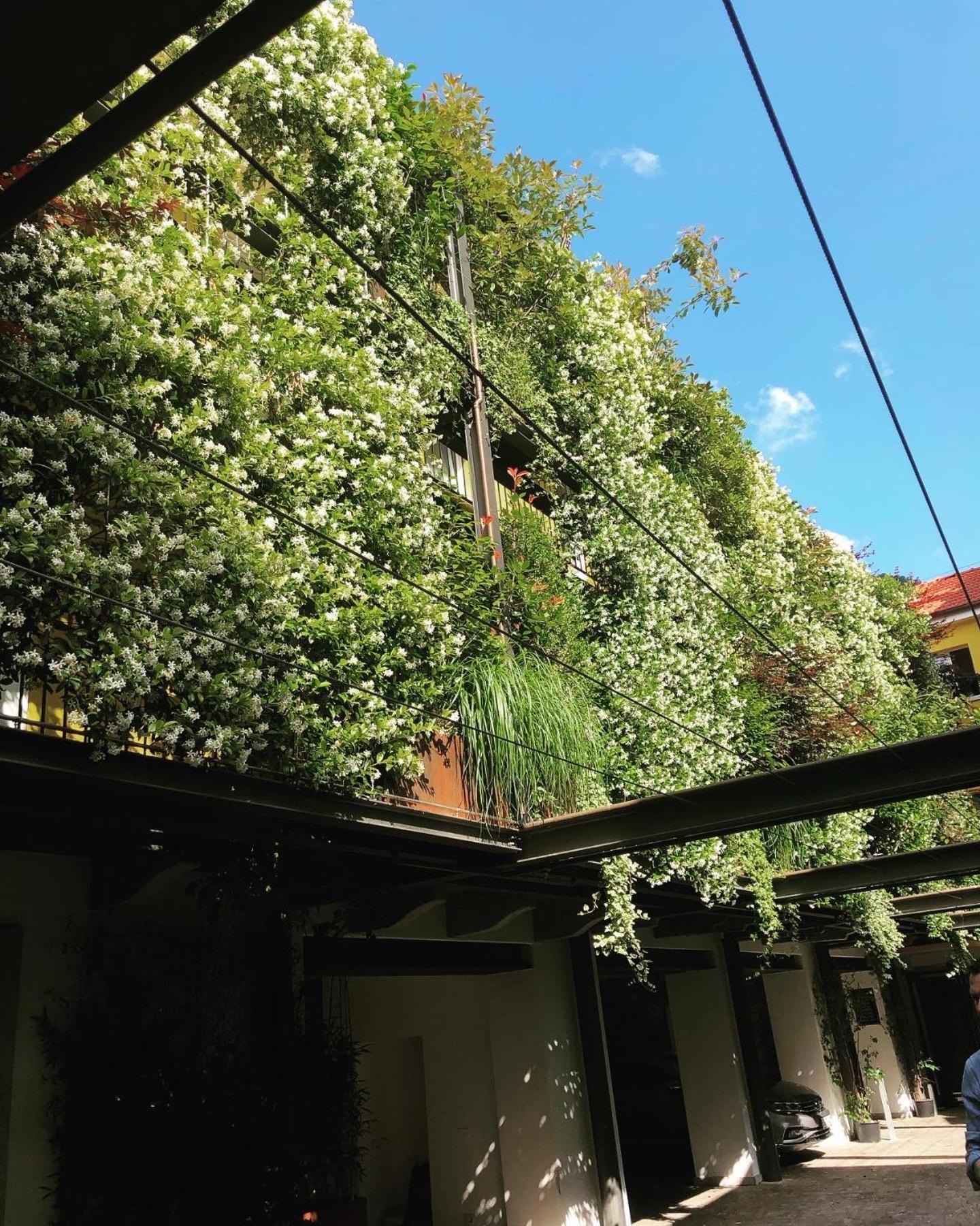 Residence Casa Coppa Appartamento Aster Omegna Exteriér fotografie